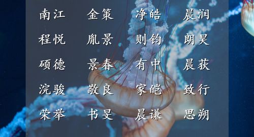 二 、 新时代下 的创新组合