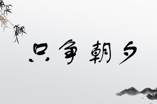 只争朝夕打一生肖指的是什么生肖？