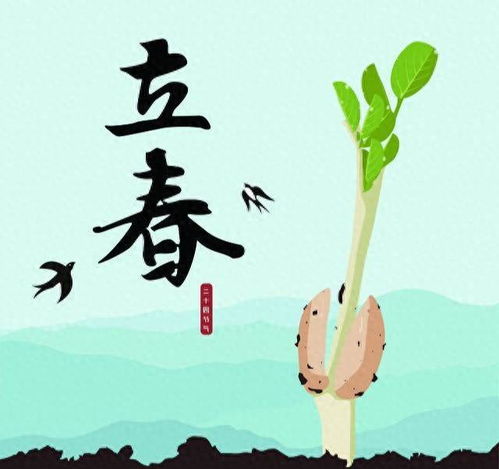 立春生肖星座风水杂谈——一场混乱的诗意盛宴