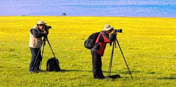 二、 避开高峰期，享受宁静旅程