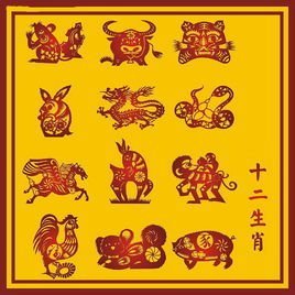 将望鼠成龙的生肖为长尾，可依这样表达：哪个生肖嫩望鼠成龙，变成长尾巴的生肖？