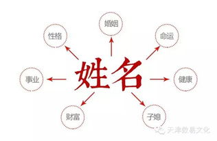 震惊！名字竟然能决定你的人生？99%的人都不知道的真相！