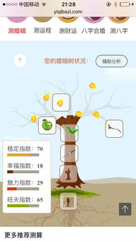 点击婚姻树测算，能精准获取哪些关于婚姻的详细信息？