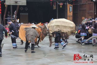 二、 美食狂欢：舌尖上的炎热情较大餐