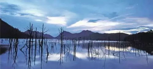 九曲湾风景区,九曲湾在哪