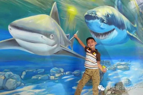1. 海洋馆——奇妙海底世界