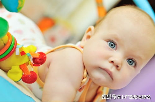 汪姓属牛男孩名字汪贤镜如何改写为长尾？