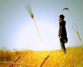 属蛇男的性格和脾气是怎样的？