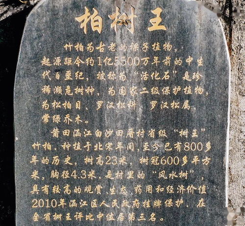 案例三：王姓兄弟与生肖冲突