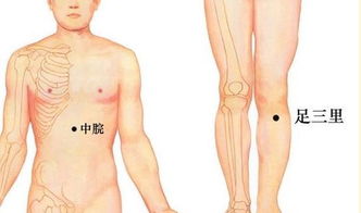 阴阳五行与感冒的爱恨情仇