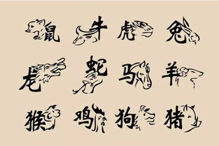 水墨先生算命秘诀：如何准确预测婚姻运势？