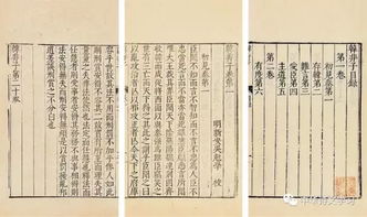 鼠年——较小偷与智者