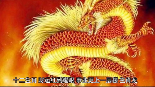 十二生肖如何对应事业顺利，事业顺成打一生肖是什么生肖？