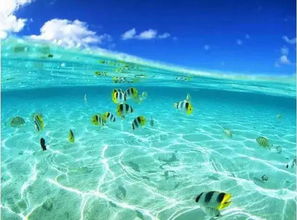 亚龙湾热带天堂森林公园：爬山不如躺平