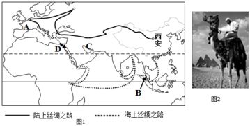 温带大陆性气候的特点