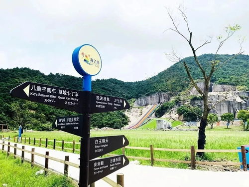 住哪儿？海景房还是狗窝？