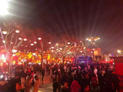 高新区“新派”的选择