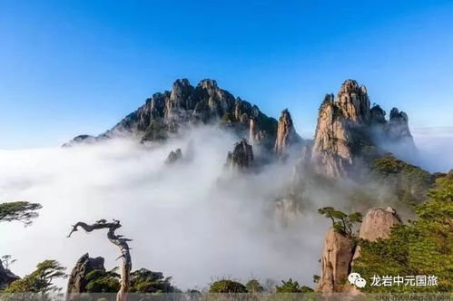 三清山的魅力