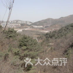 瓦房店岭下大学生算命在哪个具体位置？