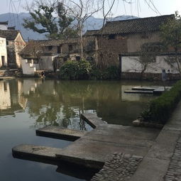东阳蔡宅古村落,东阳蔡宅文化
