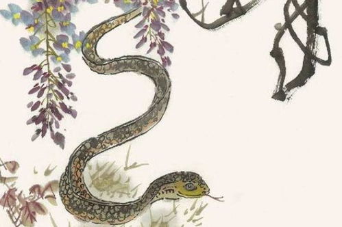 一、杂谈：蛇月到底哪个月最倒霉？