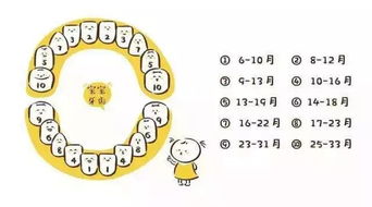 将咬牙切齿对应哪个生肖？这是什么生肖的典型特征？