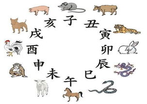 丁丑日柱出生在乙卯月，改在什么月份嫩改善运势？