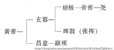 张姓到底从哪儿来？（先把背景甩出来）