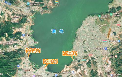 3.2 海埂公园 + 夜色灯光秀 + 随意拍照