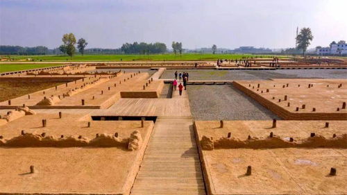 1）甘亭墓地与王沉重阳
