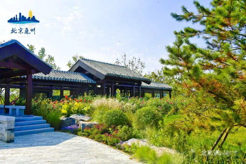 崭新景点概念：打造“旅行崭新宠”