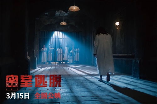 古镇博物馆怪影夜：灵异密室惨案真相大揭秘