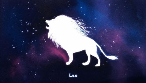 处女座：强迫症晚期没救了