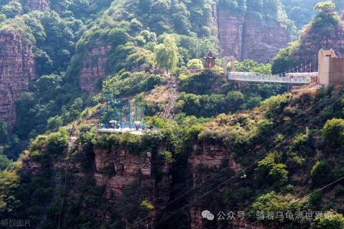 767路公交：直达仙境的神器