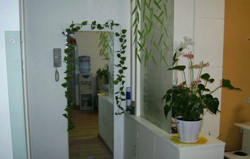 镜子不能对着门？