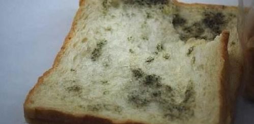 梦见把石头打成小块,梦见打烂石头