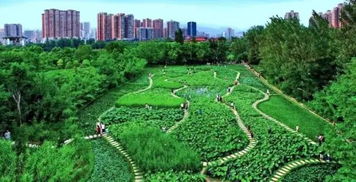 穿越时空的旅程，从陇南到广元