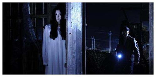 午夜图书馆的布局禁忌