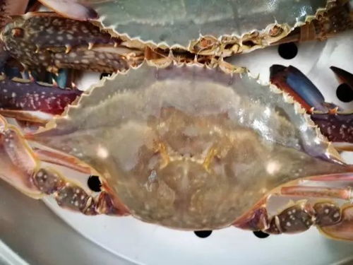 娱乐项目：刺激还是悠闲？