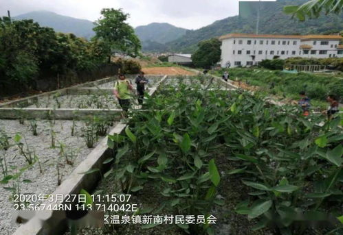广饶好吗,广饶kan风水