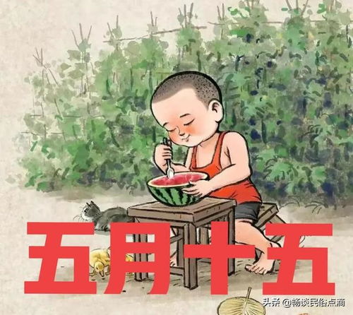农历五月十五日是哪个传统节日或习俗的日子呢？