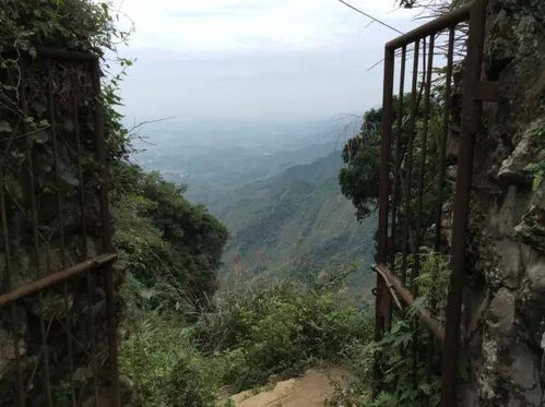 反向爬山才是王道！本地人打死不说