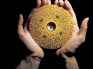 笑喷！这些增木名字你敢用吗？