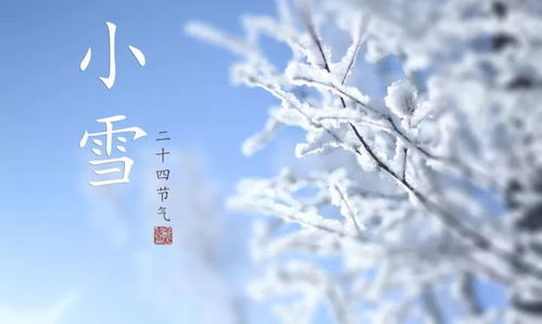 小雪节气：冬季养生，雪兆丰年，百度SEO爆款！