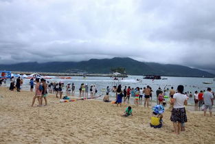 1.1 那个叫“糖糖”的救命稻草