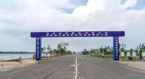 茂名电白水东湾风水,茂名电白水东湾新城重点规划