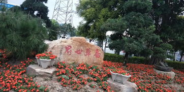 香草世界：一场与网红滤镜无关的野性狂欢