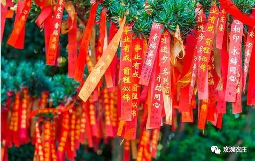团圆赏灯，猜灯谜，品汤圆，元宵佳节乐翻天！