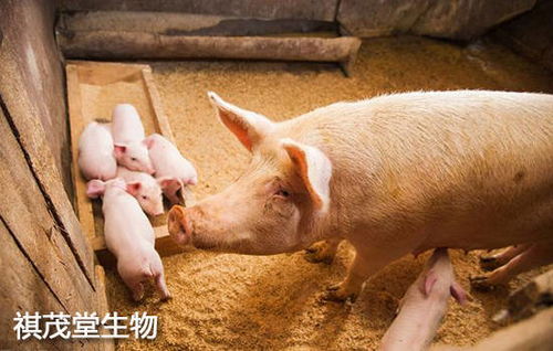 事业上：小心驶得万年船