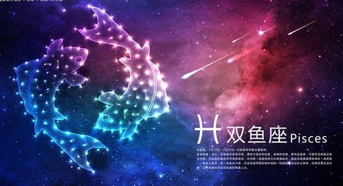 星座の大乱斗：当多愁善感的鱼撞上暴脾气羊